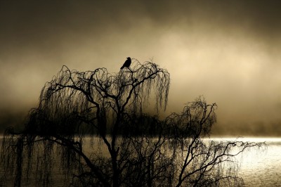 Schottland Foto Loch Ness
